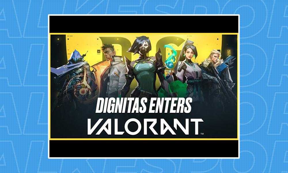 Dignitas signe la liste des Homeless Valorant »TalkEsport