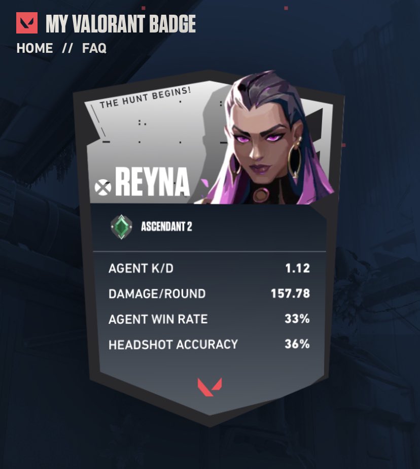 insigne de profil vaillant