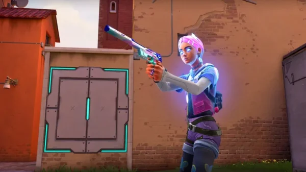 clou de girofle vaillant