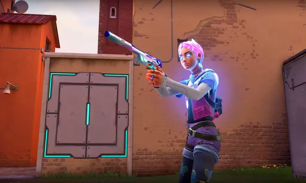 clou de girofle vaillant