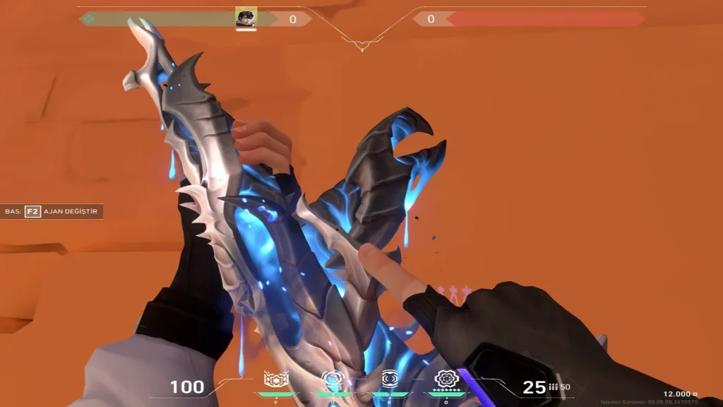 Problème de skin Mystbloom dans Valorant – Riot Games passe à l’action