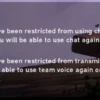 Interdiction du chat vocal Valorant